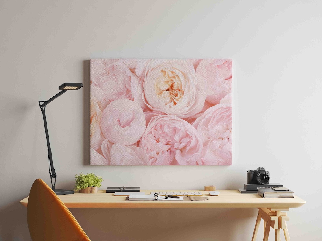 Pink Peony Blooms Canvas Wall Art - Floral Wall Art Print - Ready to ...