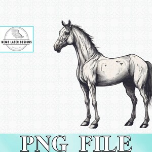 Horse Cartoon PNG | Horse Digital Download | Equine PNG | Horse Vector | Horse Art Digital Download
