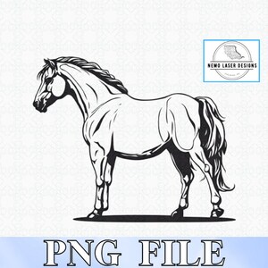 Archivo digital de boceto de contorno de caballo / Vector de caballo / PNG de caballo / Arte digital de caballo / Boceto de archivo de caballo