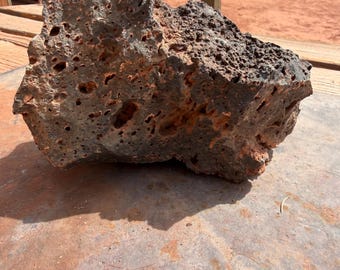 Volcanic Vesicular Basalt Lava Rock: Terrarium Decor 3.10lbs