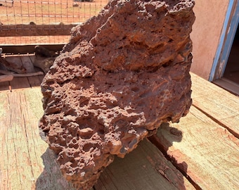 Volcanic Vesicular Basalt Lava Rock: Terrarium Decor 12.3lbs