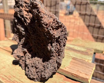 Volcanic Vesicular Basalt Lava Rock: Terrarium Decor 13.7lbs