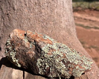 Southwest Lichen Sandstone Rock