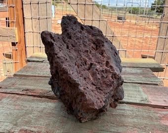Large Volcanic Vesicular Basalt Lava Rock: Terrarium Decor 7.5lbs
