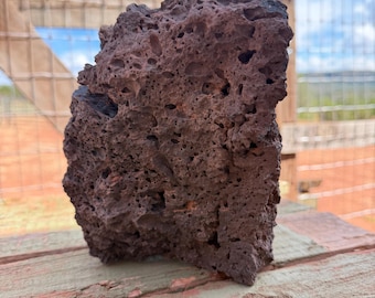 Large Volcanic Vesicular Basalt Lava Rock: Terrarium Decor 6.4lbs