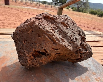 Large Volcanic Vesicular Basalt Lava Rock: Terrarium Decor (11.8lbs)