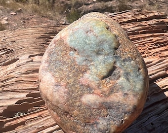 Large Rough Jasper Agate Nodule Pet Petrified Wood Chalcedony