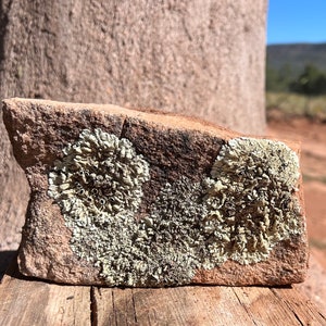 Southwest Lichen Sandstone Rock