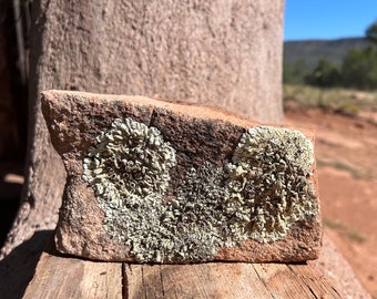 Southwest Lichen Sandstone Rock