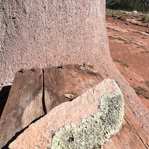Southwest Lichen Sandstone Rock