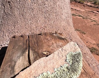 Southwest Lichen Sandstone Rock