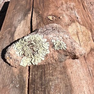 Southwest Lichen Sandstone Rock