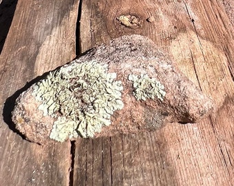 Southwest Lichen Sandstone Rock