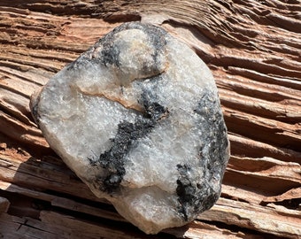 Southwest Dendritic Milky White Quartz Shorl Tourmalined Tourmalinated Raw Rough