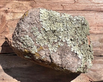 Southwest Lichen Sandstone Rock