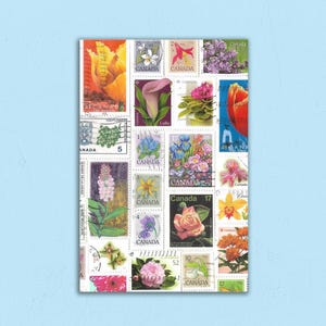 Carte postale timbrée Canada Flower - Parfaite pour les traversées !