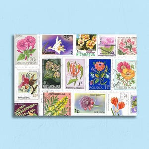Carte postale fleurie - Parfaite pour les traversées !