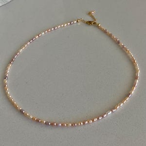 Natural Freshwater 2-3MM Maillard Color Trend Jewelry Minimalist Freshwater Rice Pearl Necklace Tiny Pearl Beaded Choker Elegant Necklace