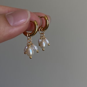 May include: Gold-plated hoop earrings featuring clusters of white pearls. The earrings have a polished finish and a classic design, suitable for everyday wear or special occasions. The pearls are oval-shaped and add a touch of elegance.