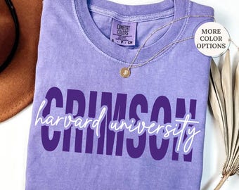 Camiseta personalizada de mascota escolar Comfort Colors®, camiseta de mascota de equipo, regalos personalizados con nombre para la vuelta al cole, camiseta con nombre escolar, camisetas con espíritu escolar