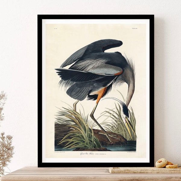 John James Audubon Great Blue Heron Birds Of America Classic Art Wall Art Print Poster Framed Art Gift