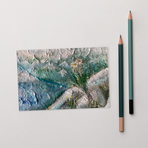 Standard Arty Postcard Edelweiss flower on the Austrian Mountain Art Print