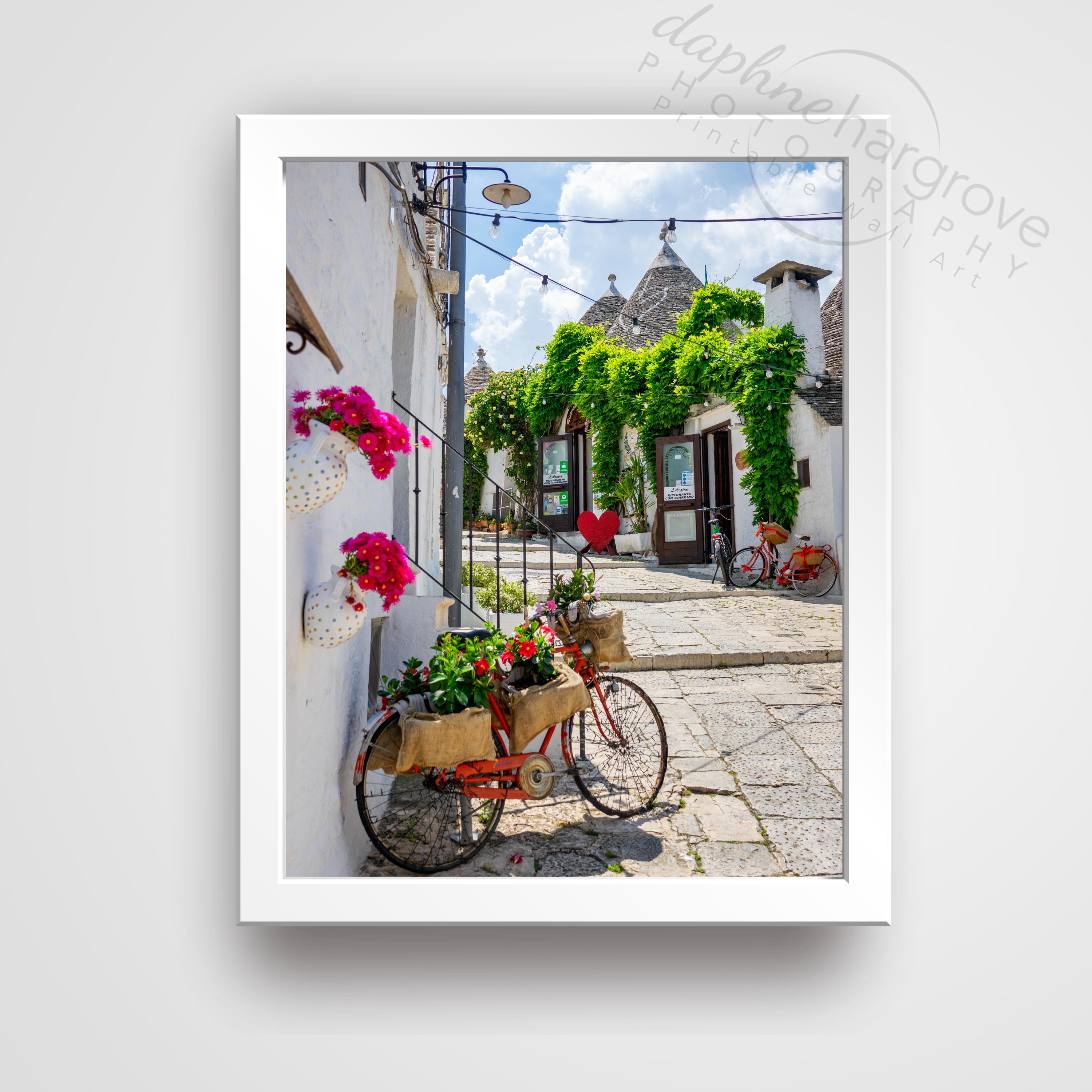 Italian Bicycle Art Ireland