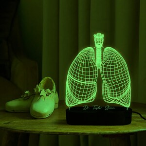 May include: A green 3D printed night light shaped like a human lung with a black base. The base has the text "Dr. Taylor Steven" on it.