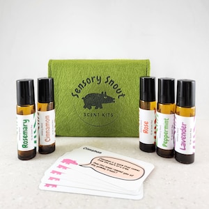 Autismus und ADHD Sensorisches Spielzeug- Ätherisches Öl Roller-Ball Kit - 5 Einzigartige Düfte für Kinder - Sensorische Schnauze Duft Kits mit Aktivitätskarten
