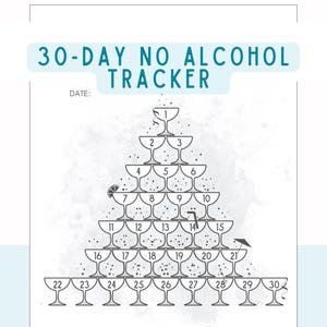 30 Day Sober Tracker Printable, No Alcohol Challenge Chart, Sobriety Countdown PDF, Digital Download
