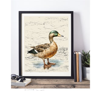 Mallard Duck Digital Wall Print, Waterfowl Art, Nature Decor, Birdwatcher Gift, Wildlife Photography, Printable Duck Poster
