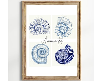 Stampa con conchiglia di ammonite blu, arte da parete stampabile, arte della parete nautica, arredamento costiero, stampa Sea Life, arte dell'oceano, arredamento della casa sulla spiaggia, stampa istantanea