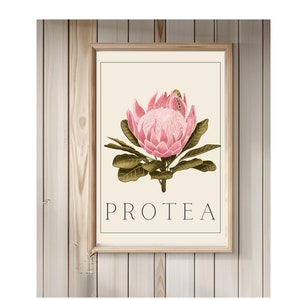 Colorful Protea Flower Wall Art,Digital Flower Wall Art,Modern Floral Decor, Botanical flower Wall Art