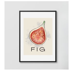 Fig Fruit Wall Printable,Kitchen Wall Art Decor,Fig Print, Kitchen Print, Minimalist prints, Modern Fruit wall Art