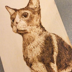 Custom Pet Portrait Wood burn