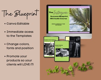 Instagram Growth Blueprint Mini Course | MRR PLR | Digital Marketing (Digital Product)