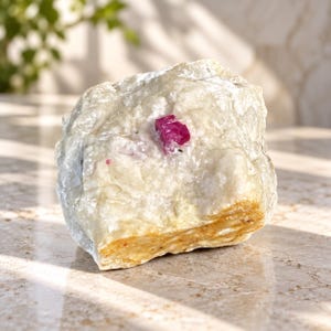 Puede incluir: Un espécimen mineral en bruto que presenta una gran matriz rocosa opaca de color blanco roto y crema con un único y prominente cristal de color rosa magenta vibrante incrustado cerca del centro, mostrando texturas naturales y bordes irregulares.
