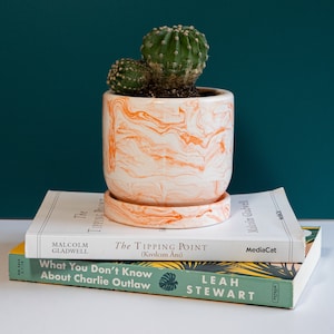 an orange concrete planter with cactus on top of books