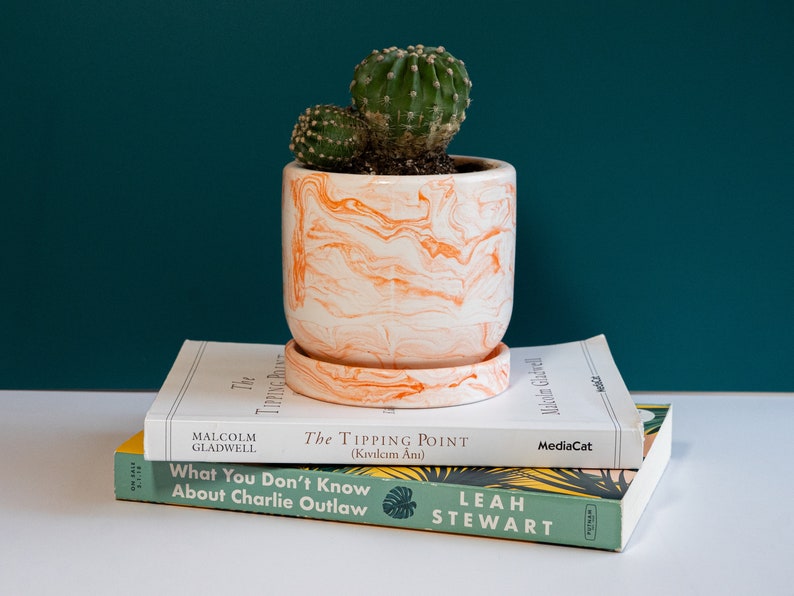 an orange concrete planter with cactus on top of books