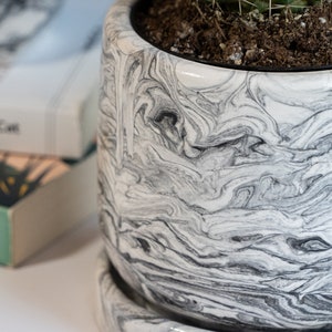 a black concrete planter with cactus