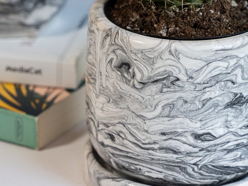 a black concrete planter with cactus