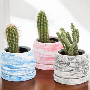 3&quot; Round Concrete Planter with Tray, Plant Pot with Drainage Hole, Indoor Planter, Cactus Succulent Planter, Modern Unique Home Plant Pot