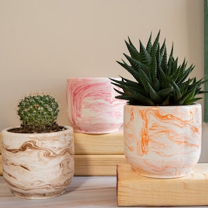 Concrete Planter with Tray | Cement Planter with Drainage | Cactus Planter | Unique Planter | Succulent Planter for Desk