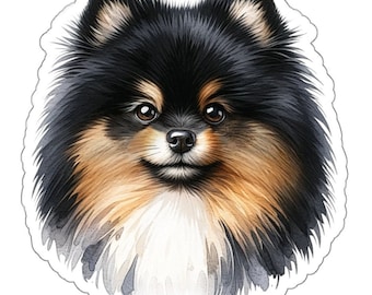 Tri-Color Parti Pomeranian Sticker: Glossy Vinyl Dog Decal