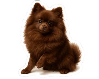 Pegatinas troqueladas de Pomerania, regalos para amantes de los perros, calcomanías para laptop, pegatinas de mascotas, decoración divertida para el hogar