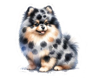 Pegatina de Pomerania Merle: vinilo brillante para amantes de las mascotas