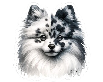 Pegatina troquelada de Pomerania Merle, regalo para amantes de los perros, calcomanía de cachorro adorable, accesorio para dueños de mascotas, regalo para amantes de los animales, regalo para mamá de mascota, retrato de mascota