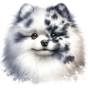Feuille d'autocollants en vinyle de Poméranie Merle - Adorables motifs Merle Pom pour les amoureux des chiens - Stickers imperméables et résistants aux rayures de haute qualité