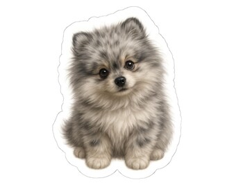 Pegatina de cachorro de Pomerania Merle: calcomanía para laptop para amantes de los perros