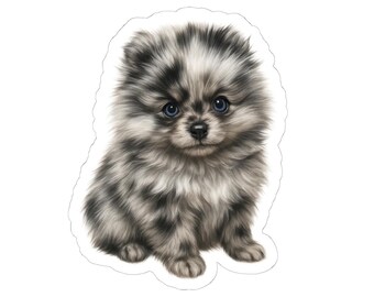 Pegatina de cachorro de Pomerania Merle: vinilo brillante para amantes de los perros